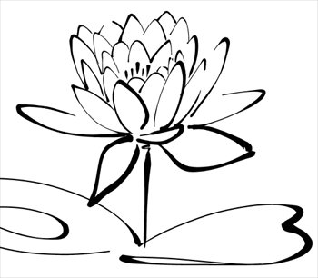 calligraphy-Lotus