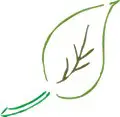 Leaf-074