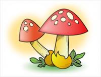mushroom-red-cap