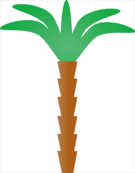 palm