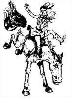 cowgirl-on-bronco