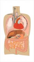 internalorgansmedicaldiagram