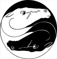 yin-yang-horses