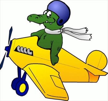 gator-plane-1