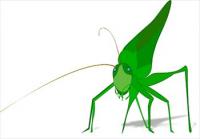 grasshopper-green-cool-w-shadow