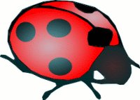 lady-bug