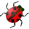 ladybug