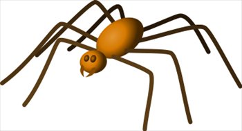 large-brown-spider