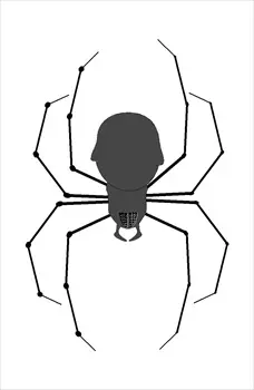 spider1