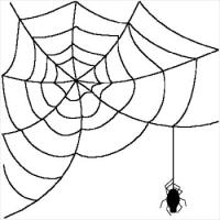 spiderweb1