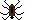 tiny-spider