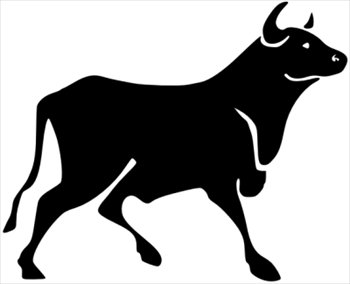 bull