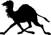 camel-running-silhouette