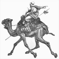 camel-with-rider