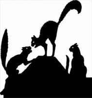 cat-fight-silhouette