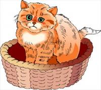 cat-in-a-basket