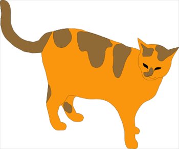 orange-tabby