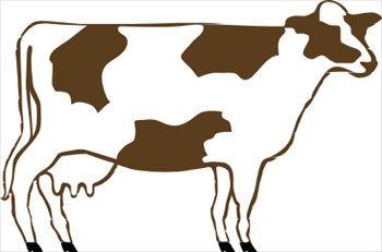 cow-1