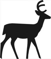 deer-bold