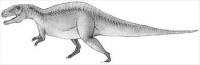 Acrocanthosaurus