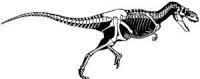 Albertosaurus