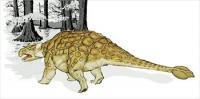 Ankylosaurus-dinosaur