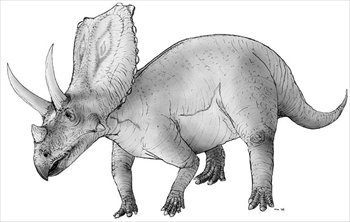 Chasmosaurus