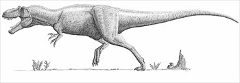 Daspletosaurus-Torosus