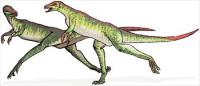 Lesothosaurus-dinosaur