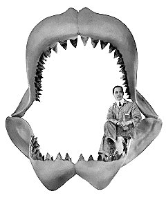 Megalodon-shark-jaw