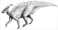 Parasaurolophus