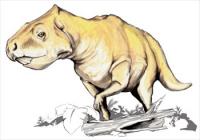 Prenoceratops-dinosaur