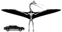 Quetzalcoatlus