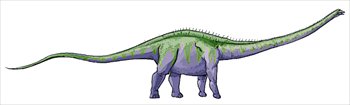 Supersaurus-dinosaur