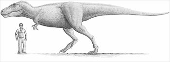 Tarbosaurus