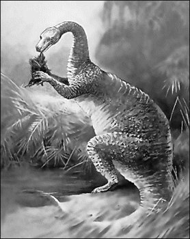 magalosaurus