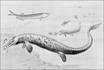 mosasaurus