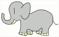 baby-elephant