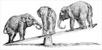 elephant-balancing