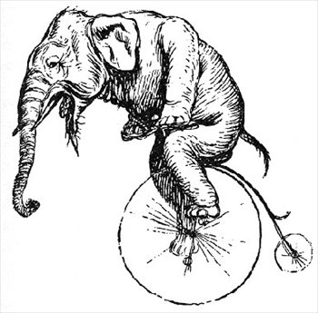 elephant-on-a-bike