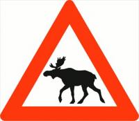 Norwegian-elk-warning