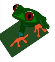 red-eye-frog