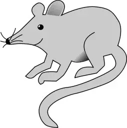 simple-happy-mouse