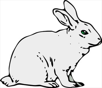 rabbit-1