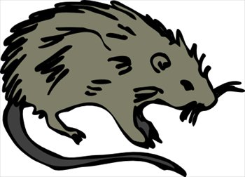 rat-1