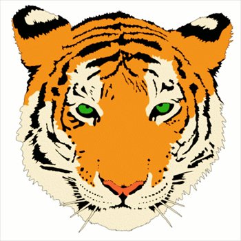 tiger-head