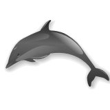 dolphin