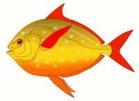red-finned-fish