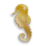 seahorse