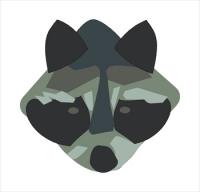 Raccoon